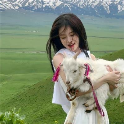 绝命终结站4